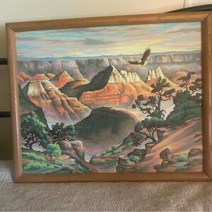 Framed Canyon Landscape 1970’s paint by number, beautiful colors, well done